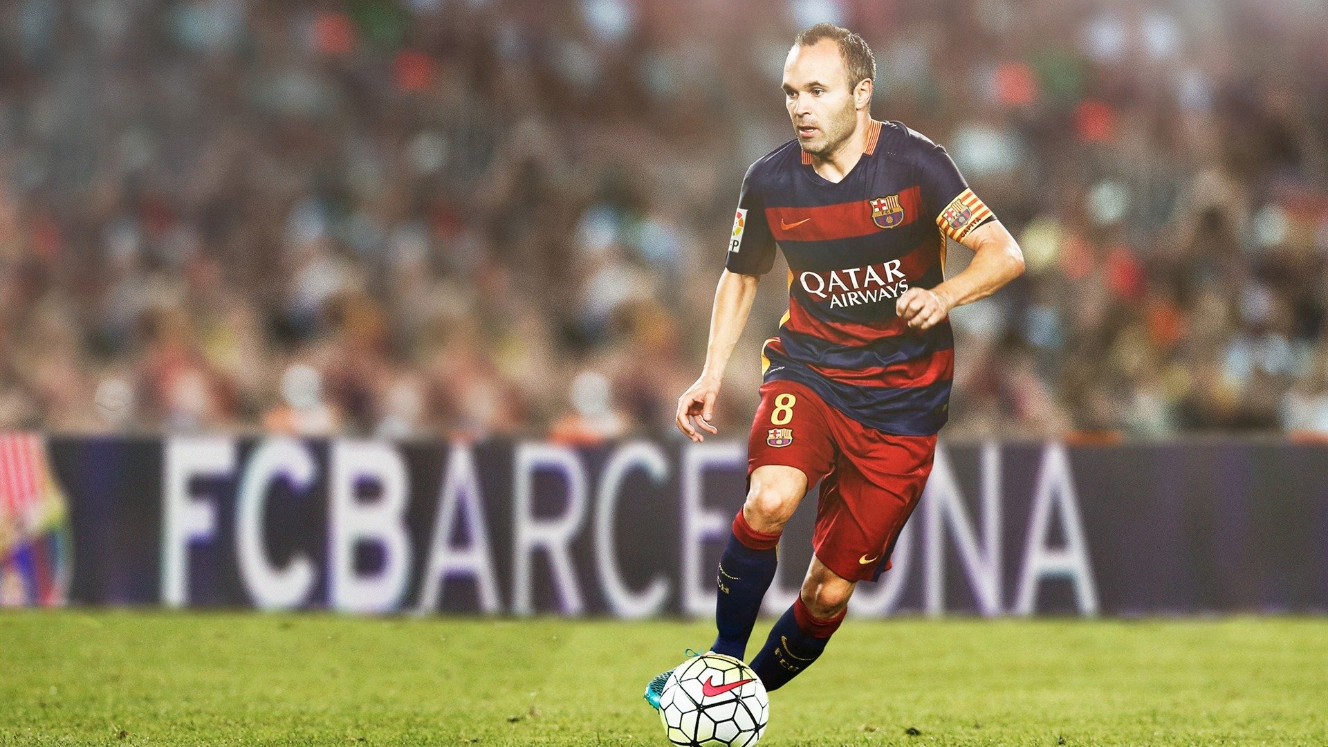 “南非羚羊队的进攻主力:诺克·达维德·彼得森的无与伦比的表现”