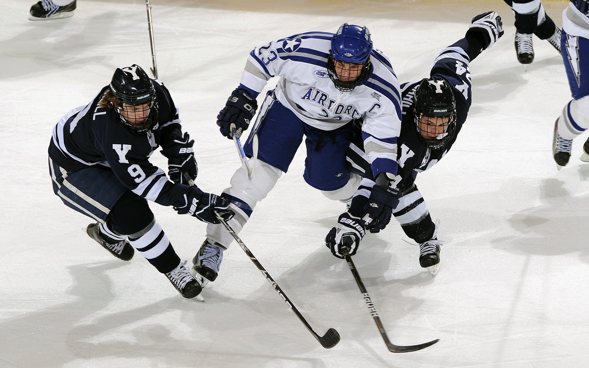 苏炳添开设个人田径训练营，苏炳添训练团队